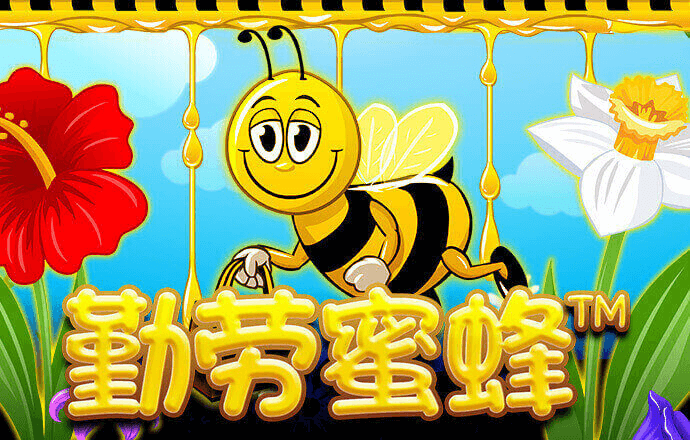 半岛手机官网入口