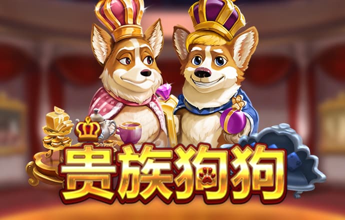 c7体育官网
